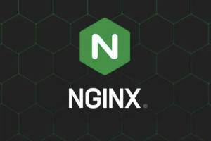 Nginx核心知识150讲 | 完结