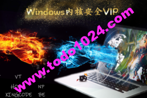 Windows内核安全VIP