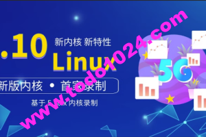 王利涛 嵌入式工程师自我修养系列视频教程 Linux三剑客